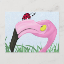 Postal Flamingo rosa bonito