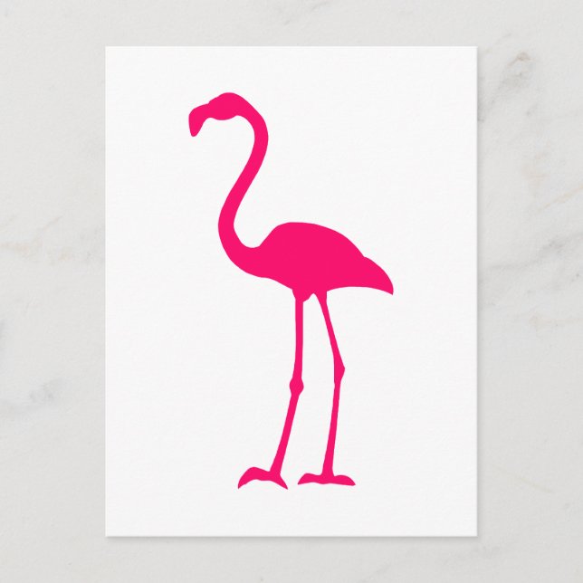 Postal Flamingo rosa brillante (Anverso)