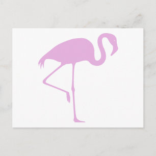 Postal Flamingo rosa clásico