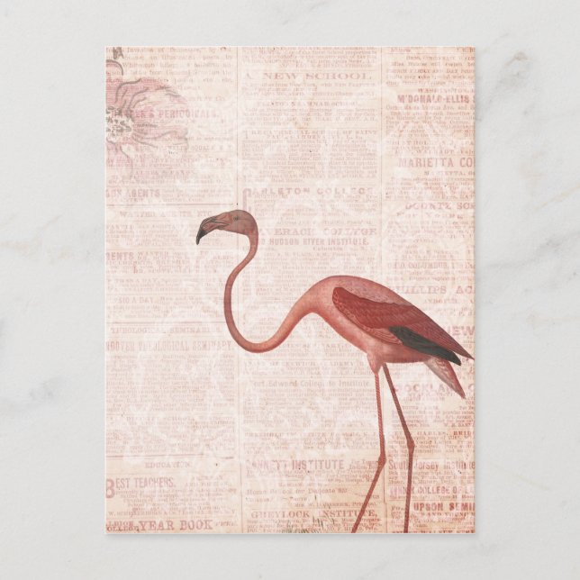 Postal Flamingo rosa de estilo vintage (Anverso)