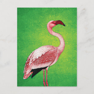 Postal Flamingo rosa en el patrón verde retro