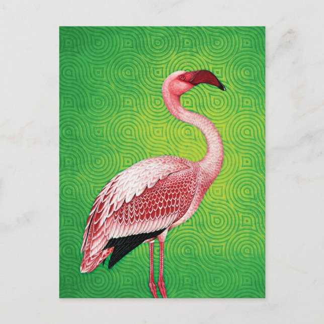 Postal Flamingo rosa en el patrón verde retro (Anverso)
