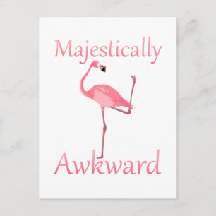 Postal Flamingo rosa majestuoso