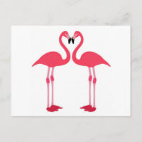 Flamingo rosa-pájaros-corazón-amor