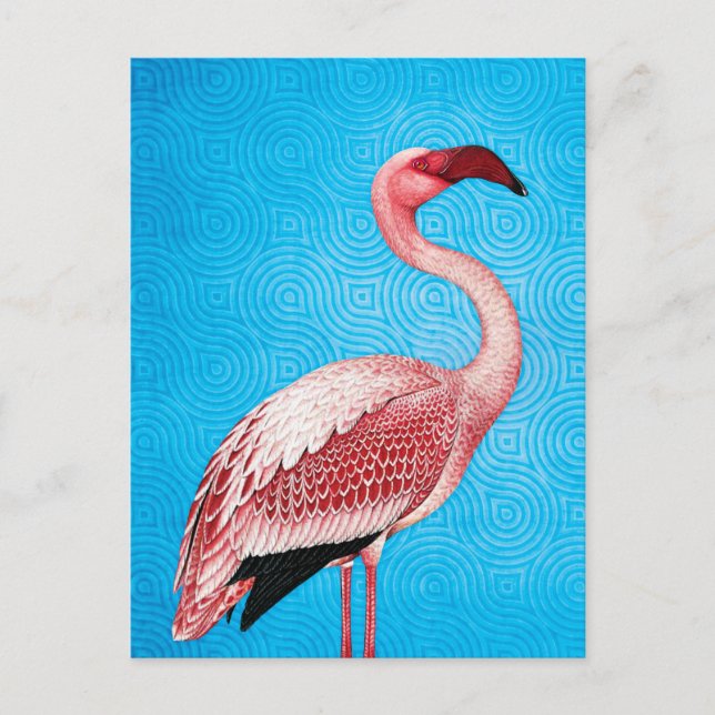 Postal Flamingo rosa sobre el patrón azul retro (Anverso)