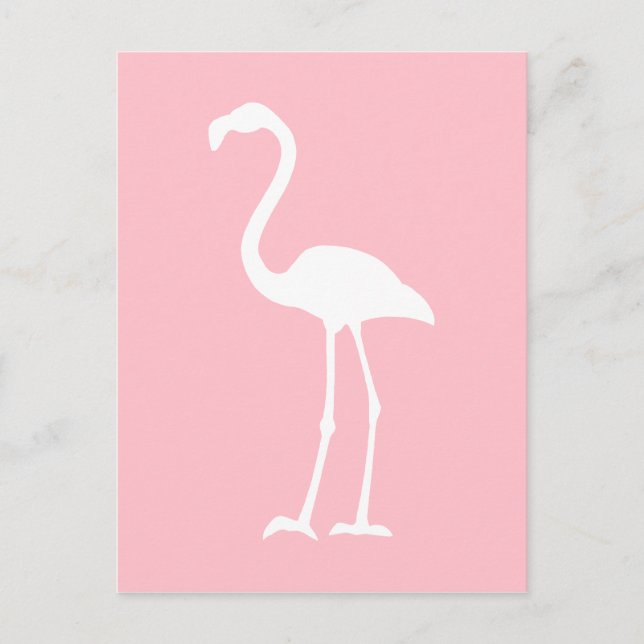 Postal Flamingo rosa y blanco (Anverso)