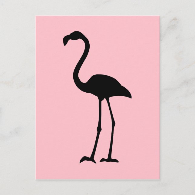 Postal Flamingo rosa y negro (Anverso)