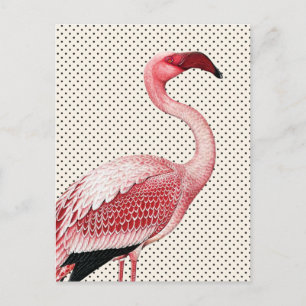 Postal Flamingo rosa y puntos de polka ventilado