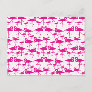 Postal Flamingo rosado