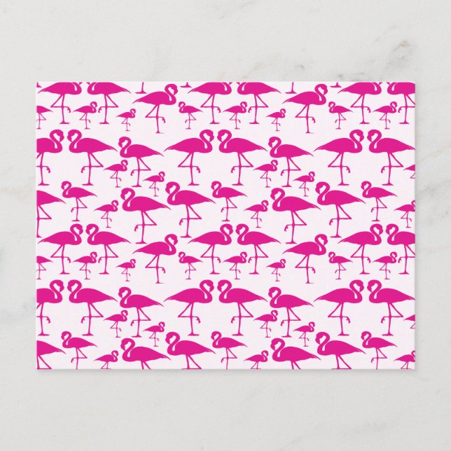 Postal Flamingo rosado (Anverso)