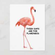 Flamingo rosado Inspirador verano suave