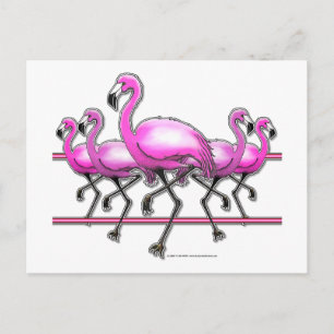 Postal Flamingo Strip