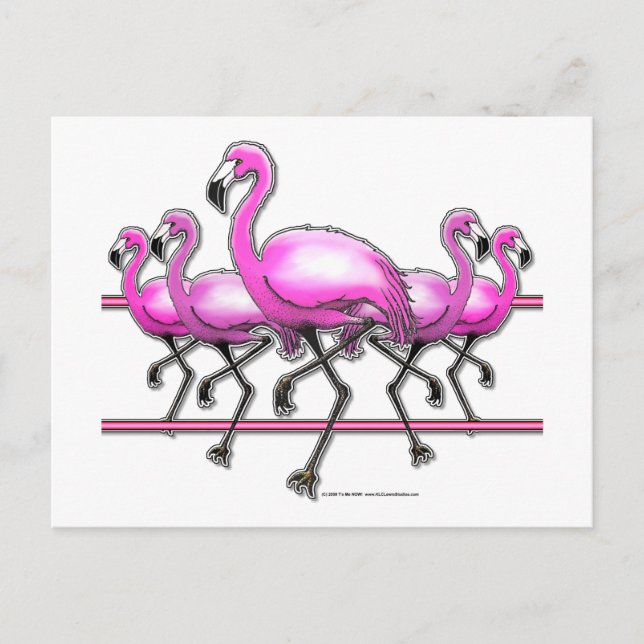 Postal Flamingo Strip (Anverso)