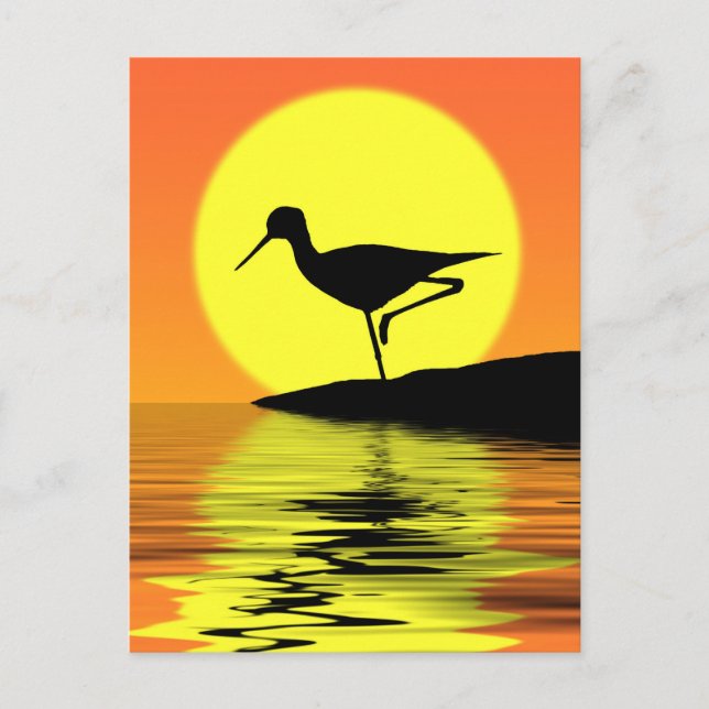 Postal Flamingo Sunset (Anverso)