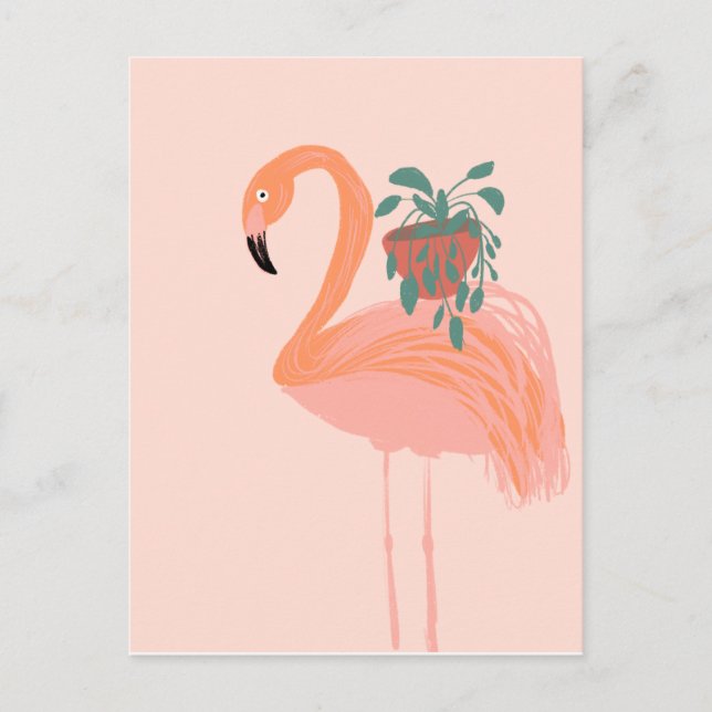 Postal Flamingo tropical con mano de planta putrefacta di (Anverso)