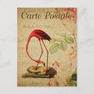 Postal Flamingo Vintage Roses Rosa Floral Francés