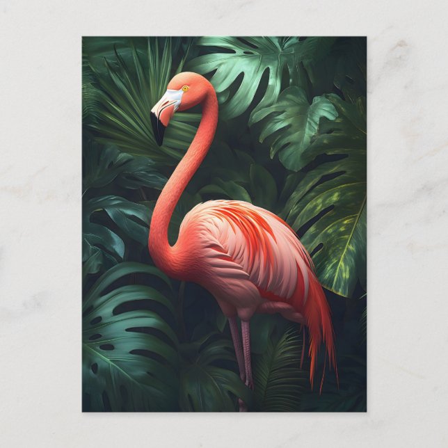 Postal Flamingo y hojas de selva (Anverso)