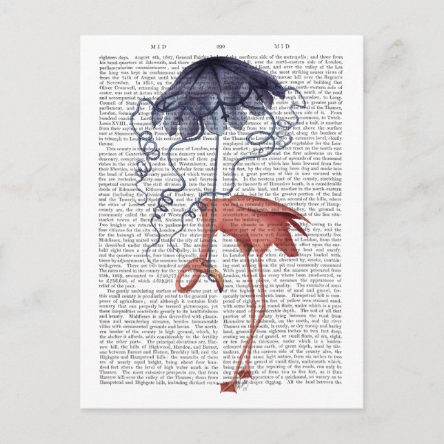 Postal Flamingo y Parasol (Anverso)