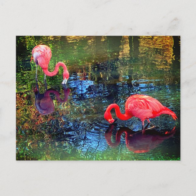 Postal Flamingos (Anverso)