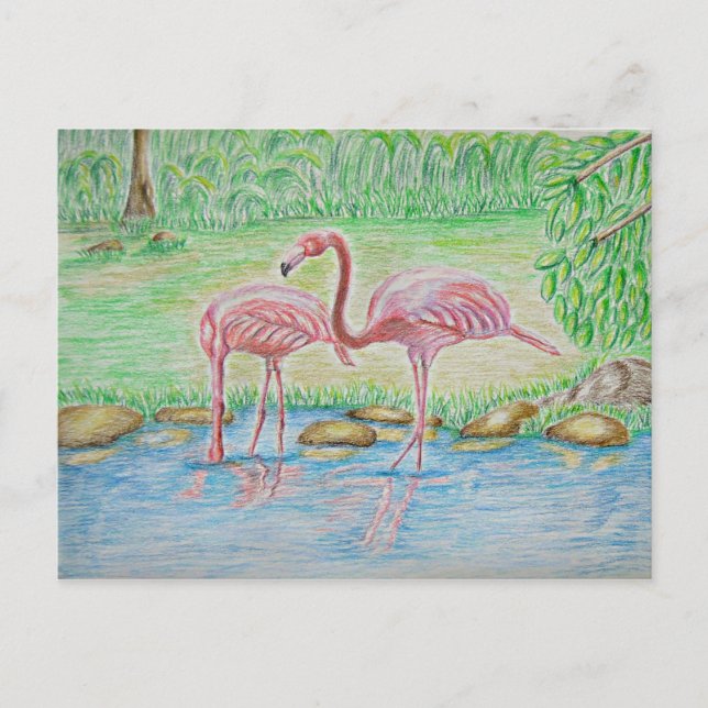 Postal Flamingos (Anverso)