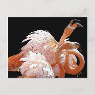 Postal Flamingos