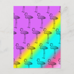 Postal Flamingos 2