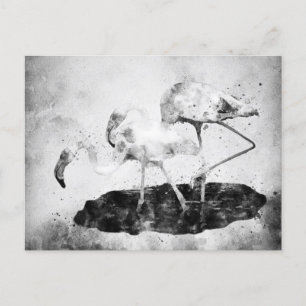 Postal Flamingos de color blanco y negro