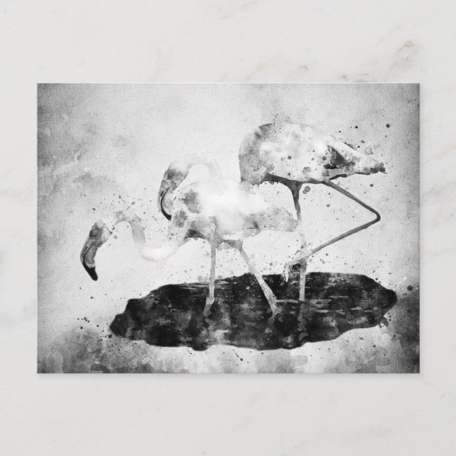 Postal Flamingos de color blanco y negro (Anverso)