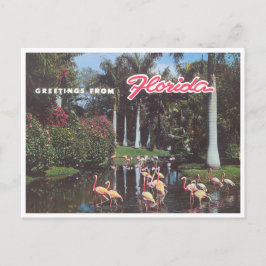 Postal Flamingos de Florida de la década de 1960