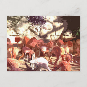 Postal Flamingos - ¡Esto es rosado! (Recorte Personalizad