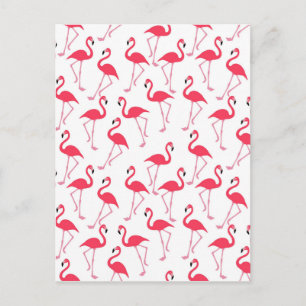Postal flamingos Flimingos