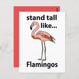 Postal Flamingos Se Mantienen Altos Como Flamingos Flamin