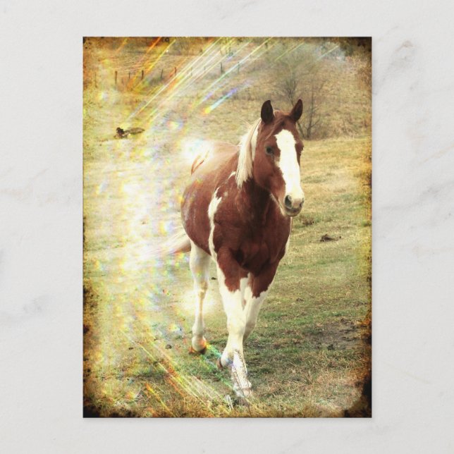 Postal Flashy (Anverso)