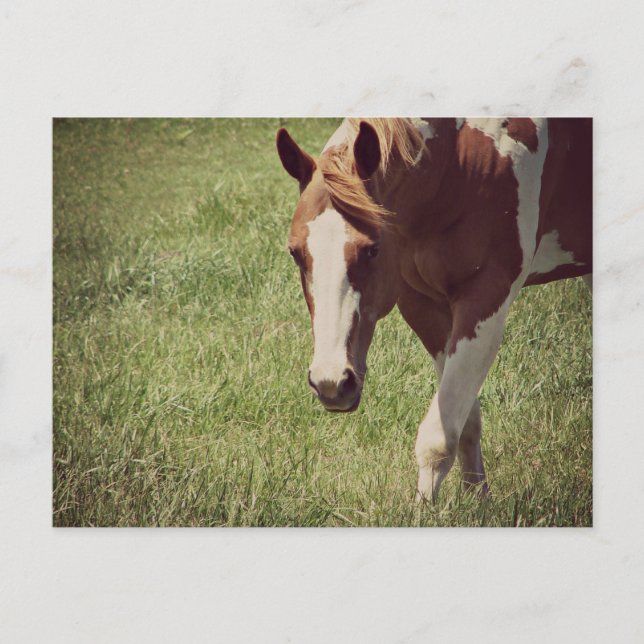 Postal Flashy (Anverso)