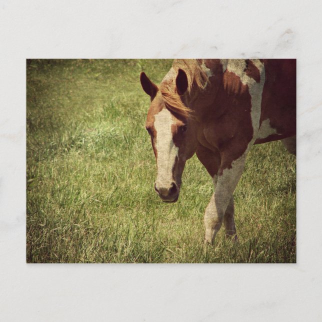 Postal Flashy (Anverso)