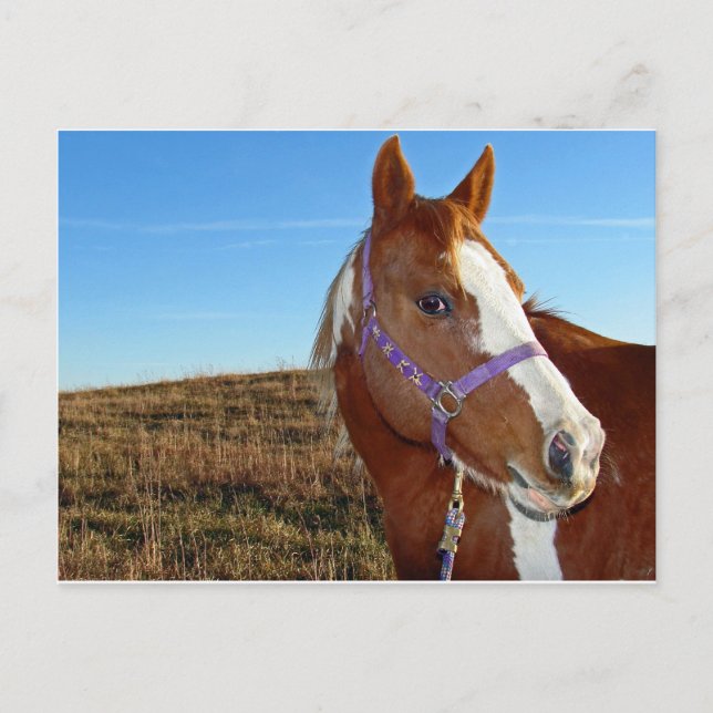 Postal Flashy en Nebraka (Anverso)