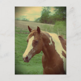 Postal Flashy Vintage