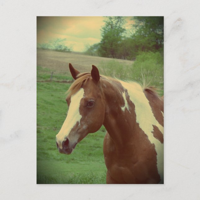 Postal Flashy Vintage (Anverso)