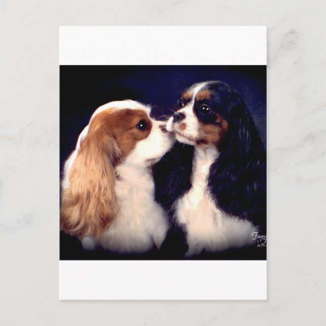 Postal Fleet Street Nova Tippy (Anverso)