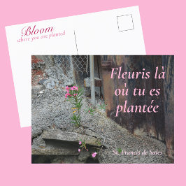 Postal Fleuris là où tu es plantée Pink Floral