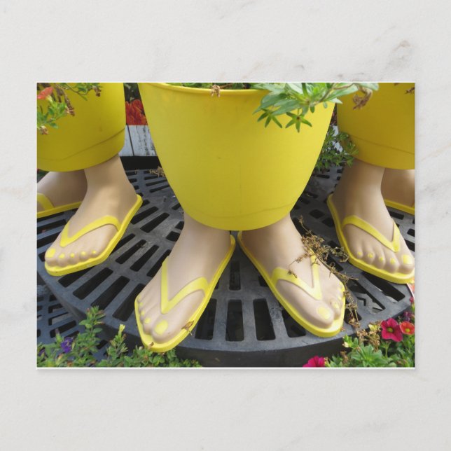 Postal Flip Flop Pot (Anverso)