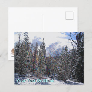 Postal Floatplane De Havilland Beaver