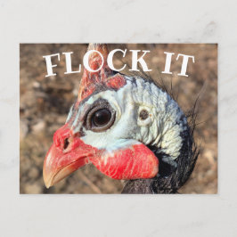 Postal FLOCK IT, Guinea Fowl Caja de madera Rótulo