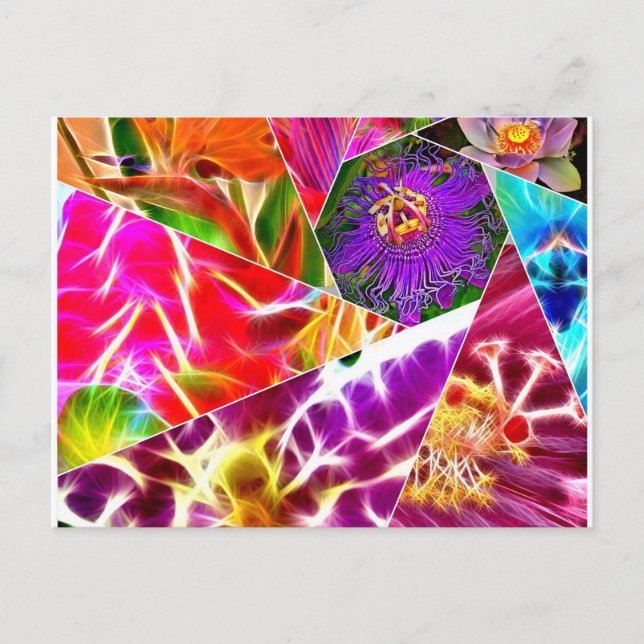 Postal Flor (Anverso)