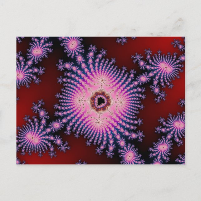 Postal Flor 11 (Anverso)