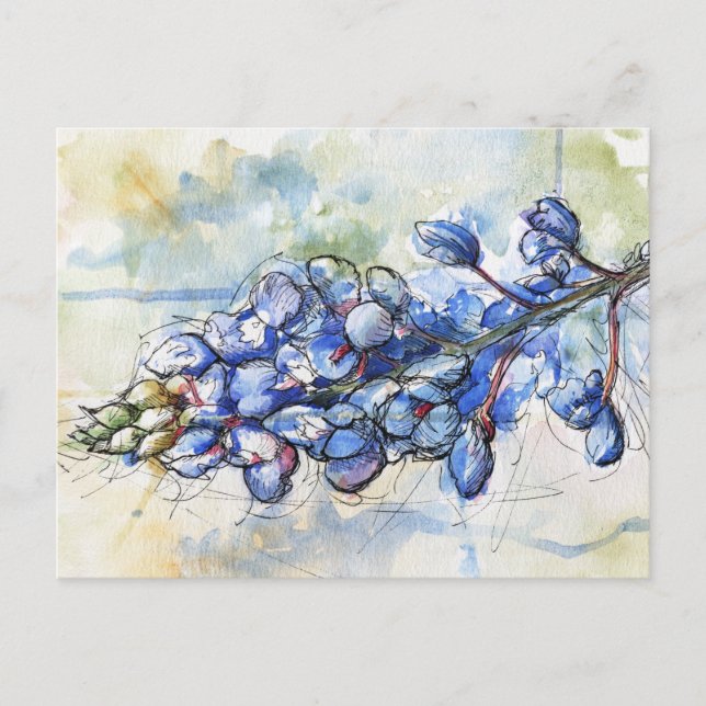 Postal Flor acuática de Texas Bluebonnet (Anverso)