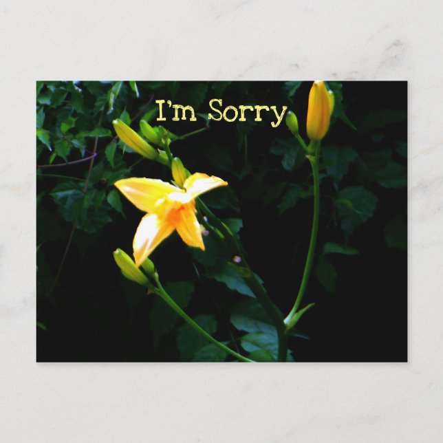 Postal Flor amarilla (Anverso)