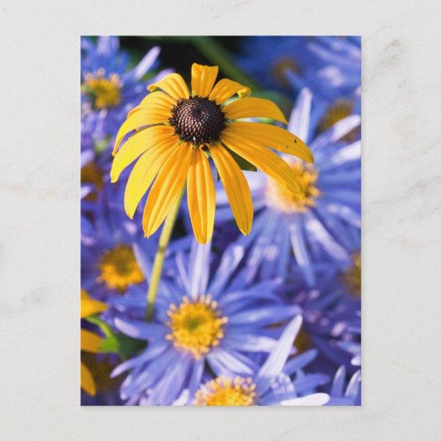 Postal Flor amarilla (Anverso)