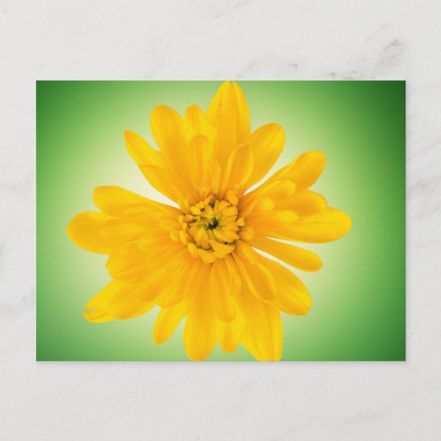 Postal Flor amarilla (Anverso)