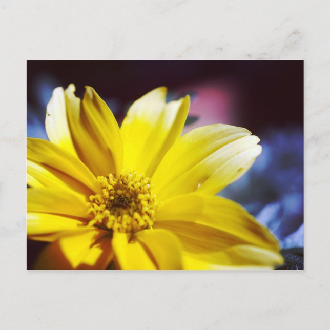 Postal Flor Amarilla (Anverso)